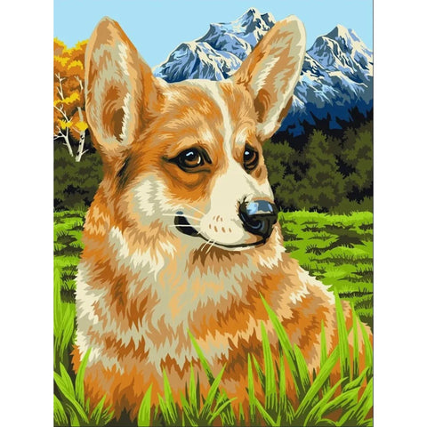 Paint by Numbers Kit 40x50 cm H094