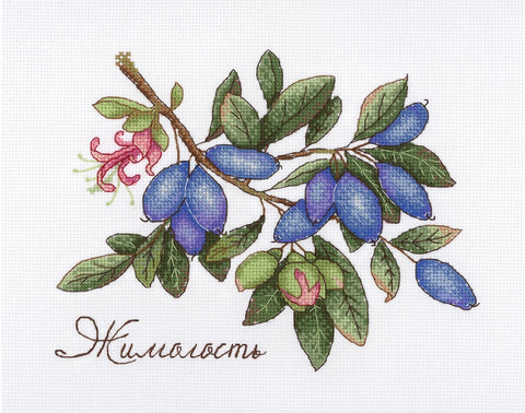 Honeysuckle SNV-648 cross stitch kit by MP Studio