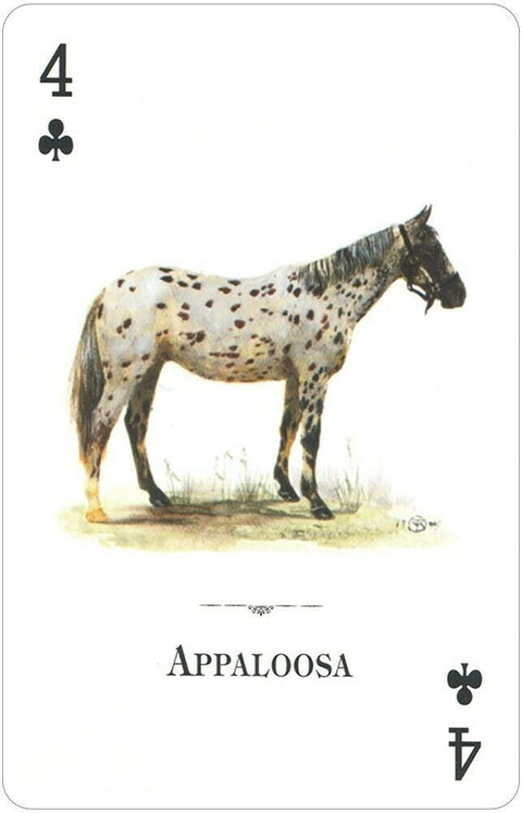 Horses Of The Natural World Playing Cards Us Games Systems