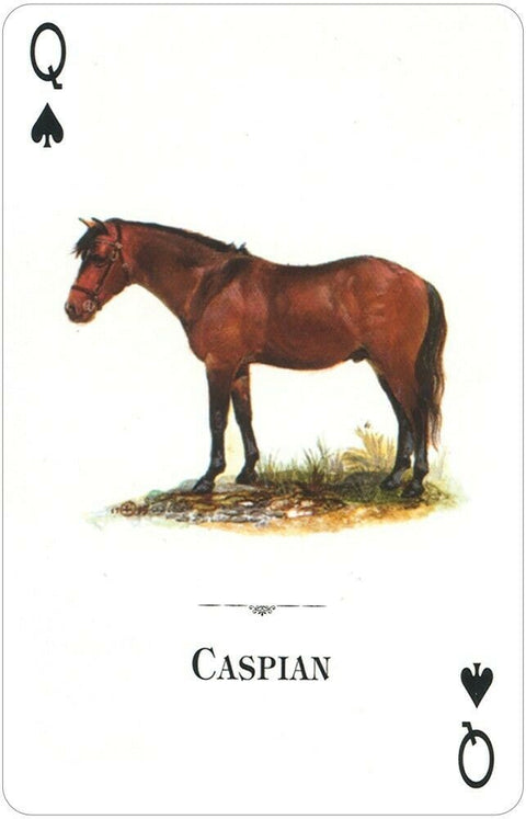 Horses Of The Natural World Playing Cards Us Games Systems