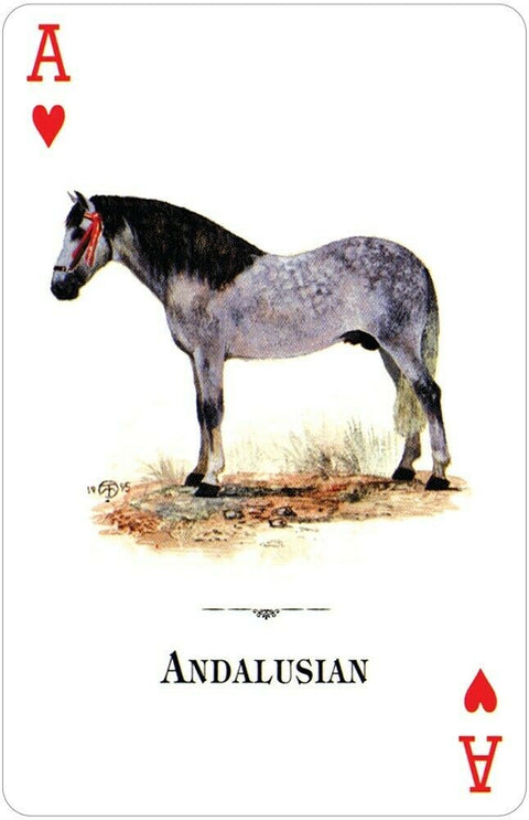 Horses Of The Natural World Playing Cards Us Games Systems