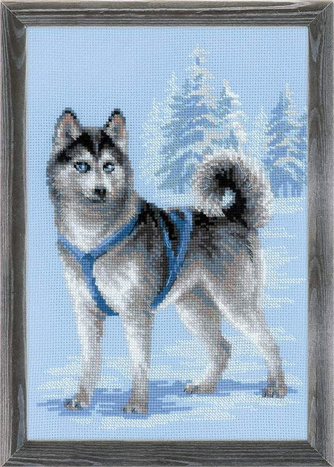 Husky - Cross Stitch Kit from RIOLIS Ref. no.:1626