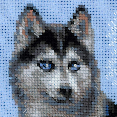 Husky - Cross Stitch Kit from RIOLIS Ref. no.:1626