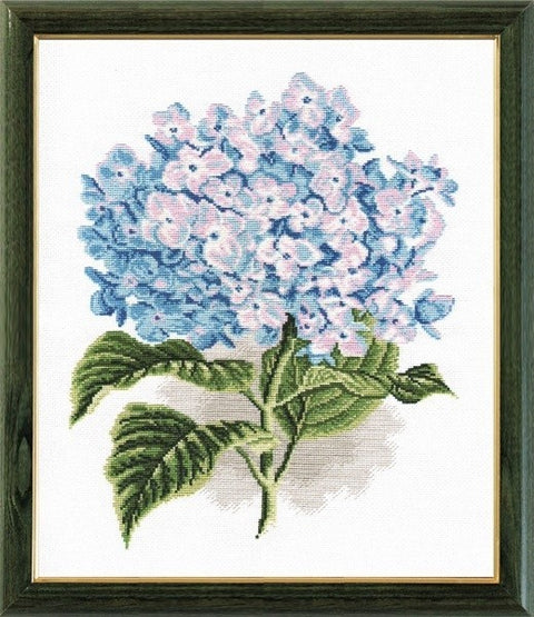 Hydrangea S564