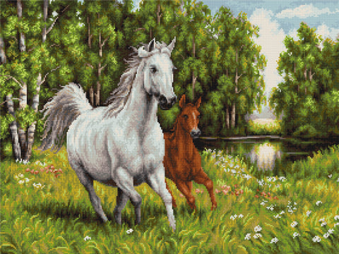 In the Wild SB524 - Cross Stitch Kit