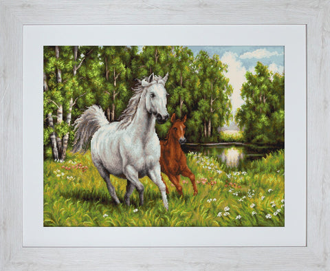 In the Wild SG524 - Cross Stitch Kit by Luca-s