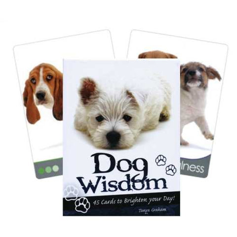 Inspirational cards Dog Wisdom Blue Angel