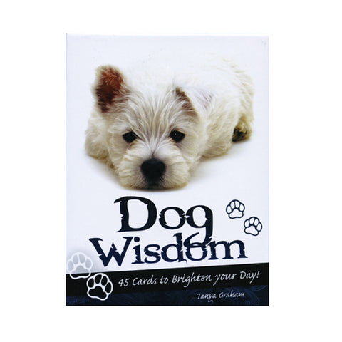 Inspirational cards Dog Wisdom Blue Angel