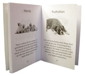 Inspirational cards Dog Wisdom Blue Angel