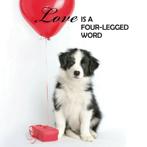 Pup Notes 60 Notes of Dog Love & Joy Pup Notes 60 Notes of Dog Love & Joy