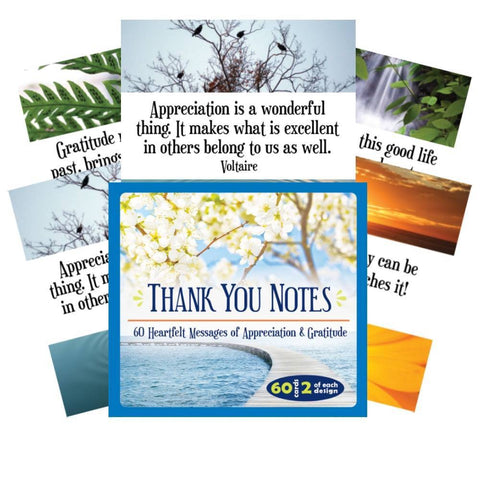 Inspirational Thank You Notes Cards US Games Systems