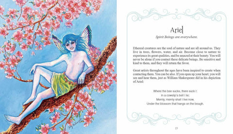 Inspirational Visions Oracle Cards Schiffer Publishing