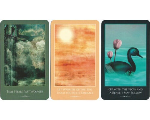 Inspirations for Survivors Cards Schiffer Publishing