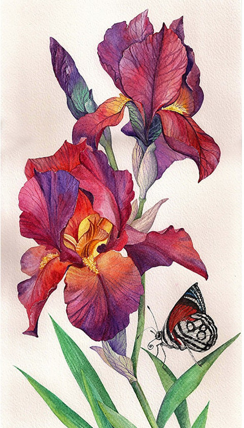 Irises Diamond Painting Set CS2577