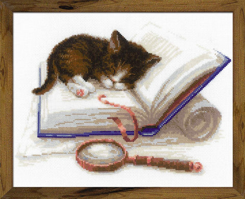 Kitten on the Book cross stitch kit by RIOLIS Ref. no.: 1725