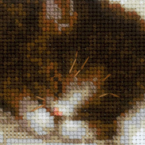 Kitten on the Book cross stitch kit by RIOLIS Ref. no.: 1725