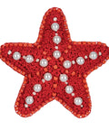 Sea Star Cross Stitch Brooch Kit