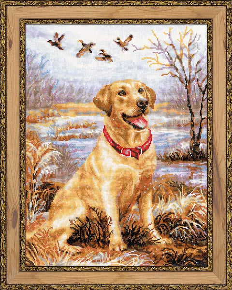 Labrador - Cross Stitch Kit from RIOLIS Ref. no.:1399