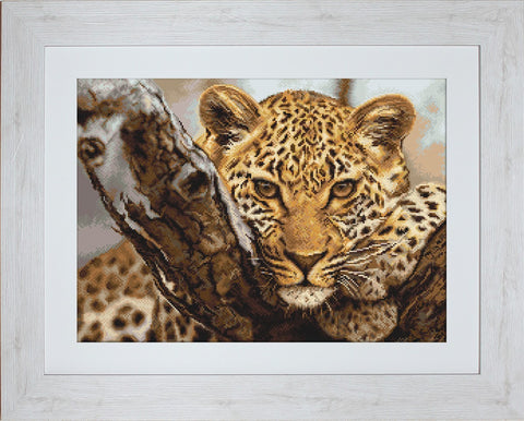 Leopard SG525 - Cross Stitch Kit by Luca-s