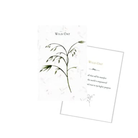 Listening to flowers Oracle Cards Schiffer Publishing