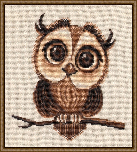 Little Owl S692