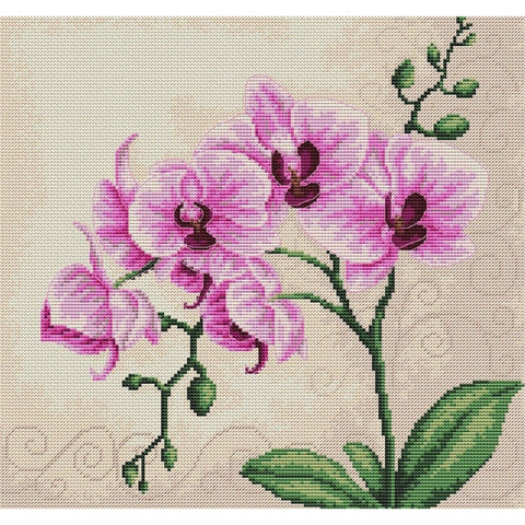 RARE find: Orchid SB2227 - Cross Stitch Kit by Luca-s