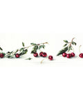 RARE find: Cherry SB2252 - Cross Stitch Kit by Luca-s