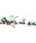 RARE find: Raspberries with Butterfly SB2253 - Cross Stitch Kit by Luca-s