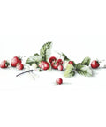 RARE find: Etude with Strawberries SB2254 - Cross Stitch Kit by Luca-s