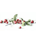 RARE find: Etude with Strawberries SB2254 - Cross Stitch Kit by Luca-s