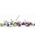 RARE find: Plums SB2257 - Cross Stitch Kit by Luca-s