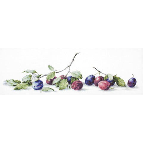 RARE find: Plums SB2257 - Cross Stitch Kit by Luca-s