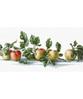 RARE find: Apples SB2265 - Cross Stitch Kit by Luca-s