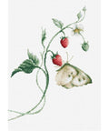 RARE find: Aroma of Summer SB2268 - Cross Stitch Kit by Luca-s