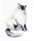 RARE find: Micky SB2269 - Cross Stitch Kit by Luca-s