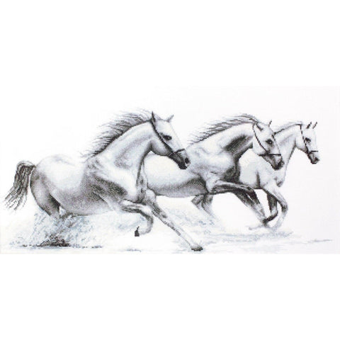 RARE find: White horses SB495 - Cross Stitch Kit by Luca-s