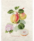 The Dutch Codlin SBA22440 - Cross Stitch Kit