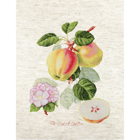 The Dutch Codlin SBA22440 - Cross Stitch Kit