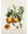 Abricot-Peche SBA22450 - Cross Stitch Kit