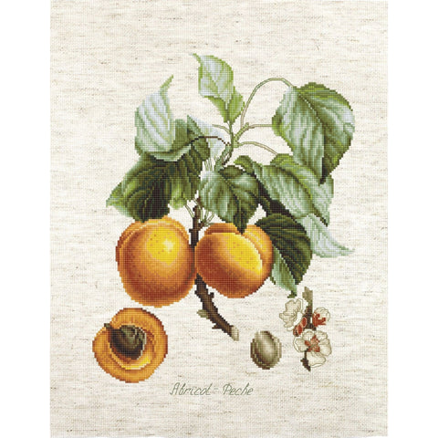 Abricot-Peche SBA22450 - Cross Stitch Kit
