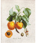 Abricot-Peche SBL22450 - Cross Stitch Kit