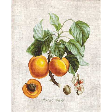 Abricot-Peche SBL22450 - Cross Stitch Kit