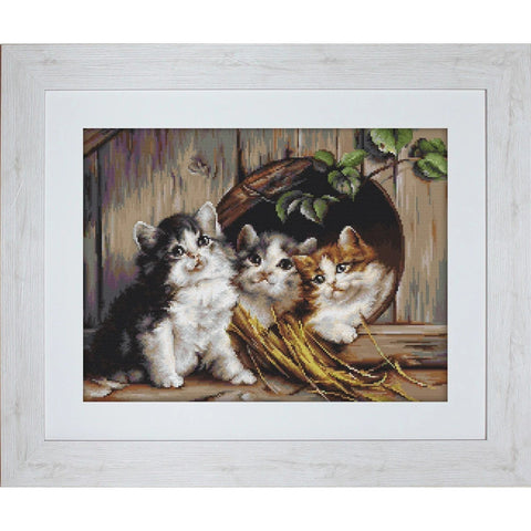 Friendly Shelter SG520 - Cross Stitch Kit by Luca-s