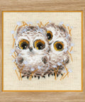 Little Owls RIOLIS 1755
