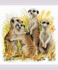 Meerkats RIOLIS 1761