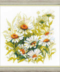 Chamomiles RIOLIS 1765
