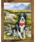 Border Collie RIOLIS 1767