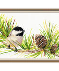 Little Bird S976