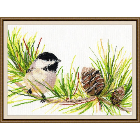 Little Bird S976