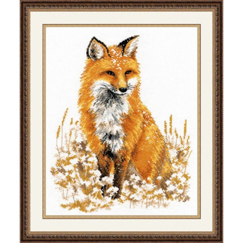 Beautiful Fox S979 - Hobby.lt 🇬🇧